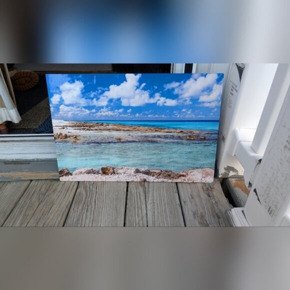 Torri's Reef Metal Picture (New) - Picture 2 of 3